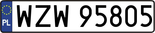 WZW95805