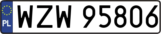 WZW95806
