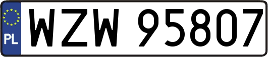 WZW95807
