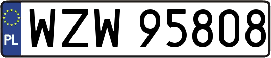 WZW95808