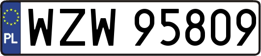 WZW95809