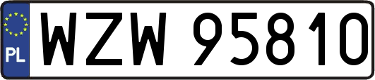 WZW95810