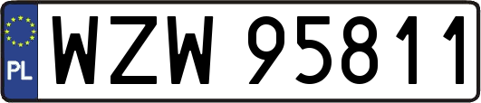 WZW95811