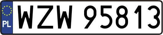 WZW95813