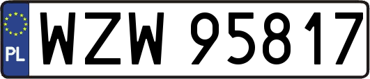 WZW95817