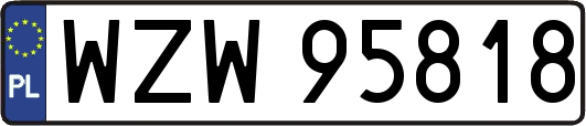 WZW95818