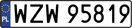WZW95819