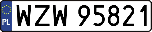 WZW95821