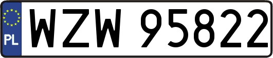 WZW95822