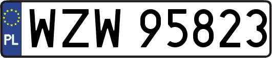 WZW95823