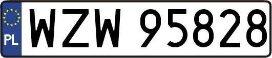 WZW95828