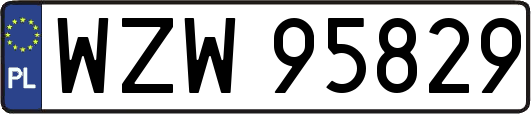 WZW95829