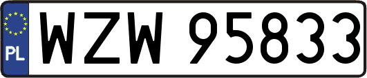 WZW95833