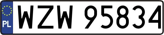 WZW95834