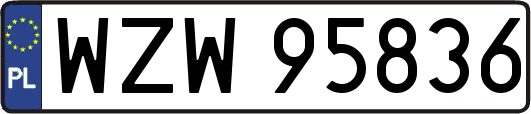 WZW95836