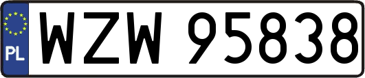 WZW95838