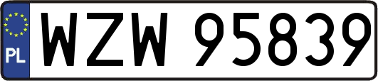 WZW95839