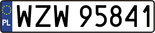 WZW95841
