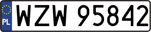 WZW95842