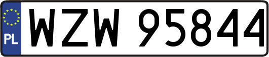 WZW95844