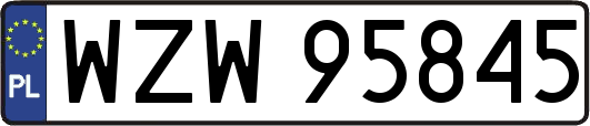 WZW95845