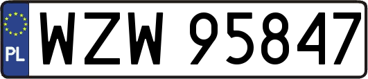 WZW95847