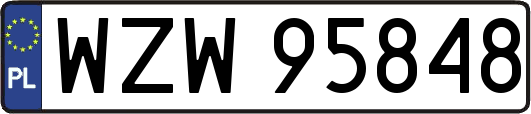 WZW95848