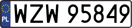 WZW95849