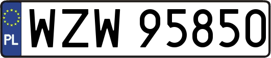 WZW95850