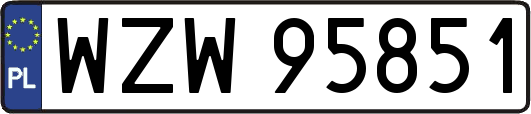 WZW95851