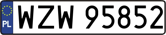 WZW95852