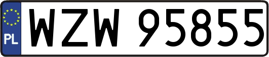 WZW95855
