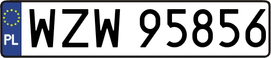 WZW95856