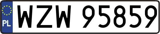 WZW95859