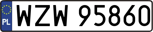 WZW95860