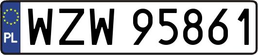 WZW95861