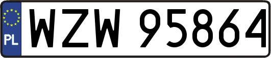 WZW95864
