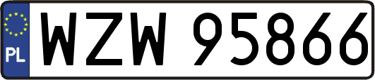 WZW95866