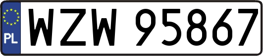 WZW95867