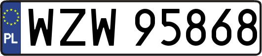 WZW95868