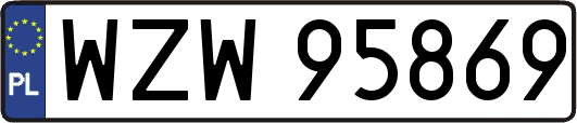 WZW95869
