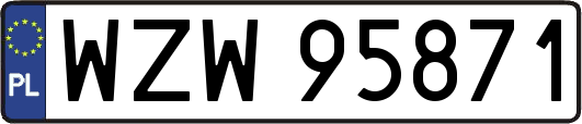 WZW95871