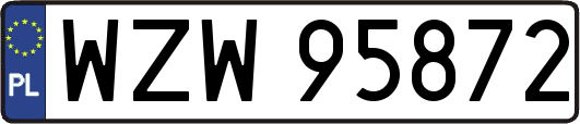 WZW95872