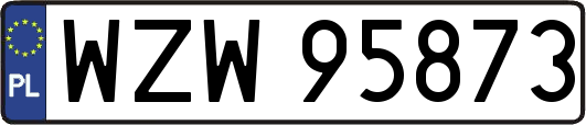 WZW95873