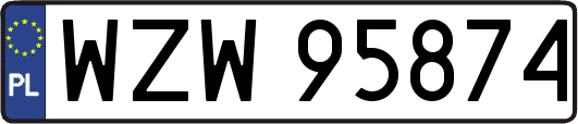 WZW95874