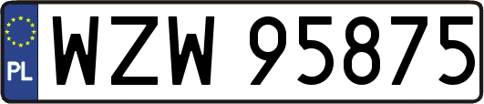 WZW95875