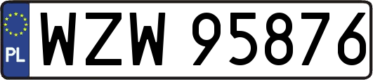 WZW95876