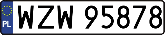 WZW95878