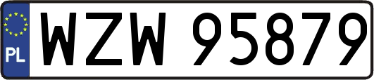 WZW95879