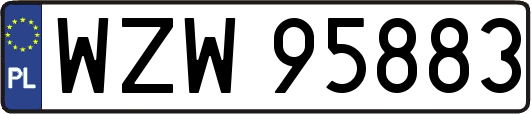 WZW95883